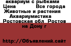 аквариум с рыбками › Цена ­ 1 000 - Все города Животные и растения » Аквариумистика   . Ростовская обл.,Ростов-на-Дону г.